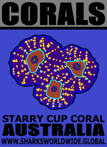 CORALS STARRY M