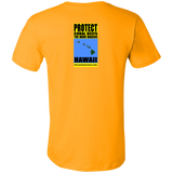 PCRTWM HI V3 F/R T