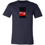 SHDG BER V1 C T