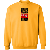 SHDG BER V1C SW