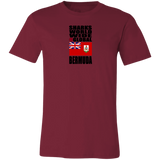 SHDG BER V1 C T