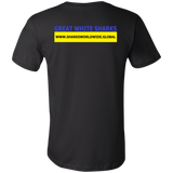 SHNB GWS F/R T
