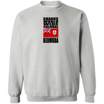 SHDG BER V1C SW