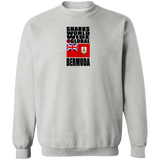 SHDG BER V1C SW