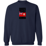 SHDG BER V1C SW