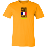 SHDG FRA V2 C T