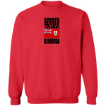 SHDG BER V1C SW