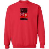 SHDG BER V1C SW