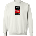 SHDG BER V1C SW