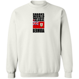 SHDG BER V1C SW