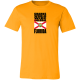 SHDG FL V1 C T