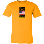 SHDG AMER V2 C T