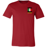 PTR MEX V2 T