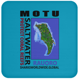 MOTU RAU C
