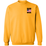 BWW2 USA VI SWTS