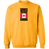 SHDG CAN V1C SW