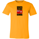 SHDG BER V1 C T