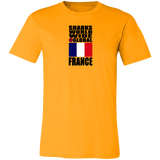SHDG FRA V1 C T