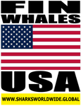 FINW USA V2 T