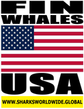 FINW USA V2 T