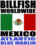 BWW ABLUM MEX V1A H