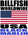 BWW BLKM USA V1A H