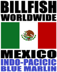 BWW MEX IPBLUM V1A H