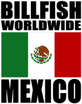BWW2 MEX M