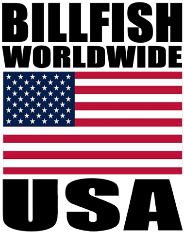 BWW2  USA H