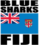 BLU S FIJI H