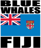 BLUE W FIJI MUG