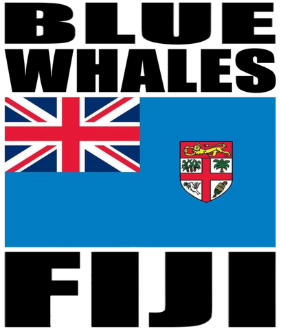 BLUE W FIJI MUG