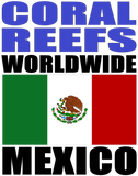 CRWW2 MEX T