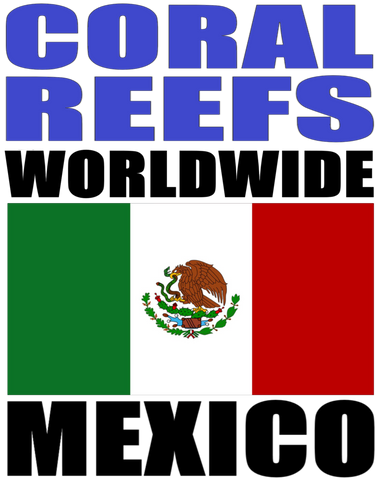 CRWW2 MEX T
