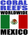 CRWW2 MEX M