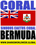 CORSP SCC BER V2 T