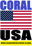 COR USA V2 M