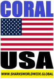 COR USA V2 M