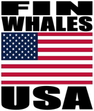 FINW USA M
