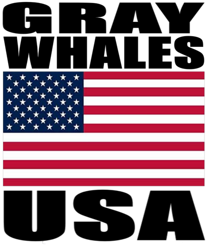GRAYW USA T