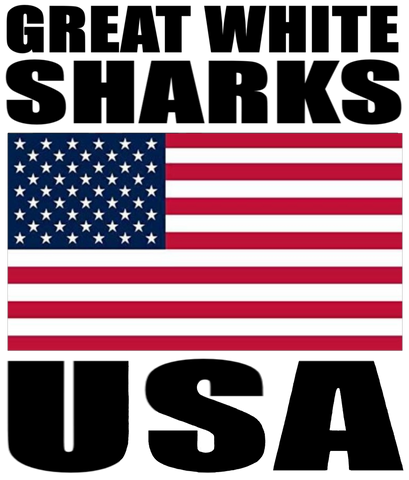 GWS USA H