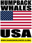 HUMPW USA V2 T
