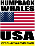 HUMPW USA V2 M