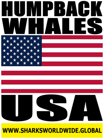 HUMPW USA V2 M