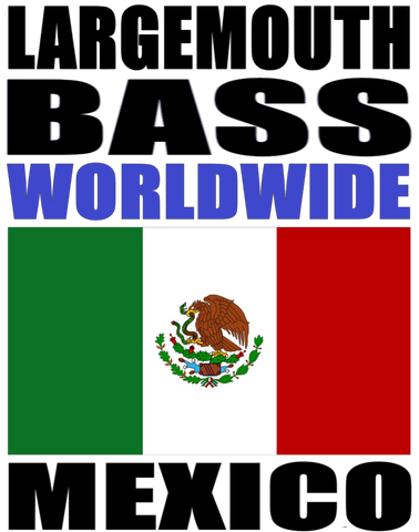 LMBWW2 MEX V2 M