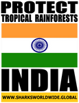 PTR INDIA V2 M