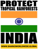 PTR INDIA V2 M