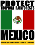 PTR MEX V2 M