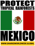 PTR MEX V2 T