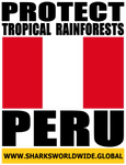 PTR PERU V2 M